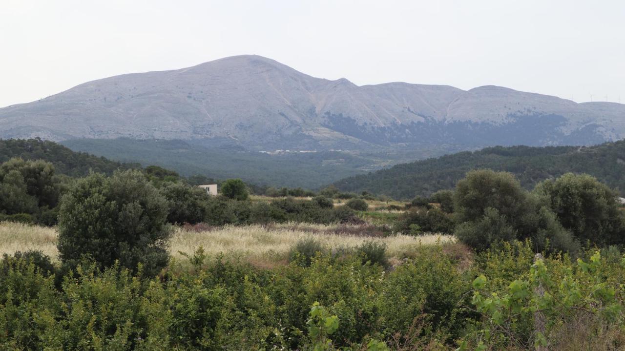 Echo Traditional House - Ηχώ Παραδοσιακό Σπίτι Émbonas エクステリア 写真