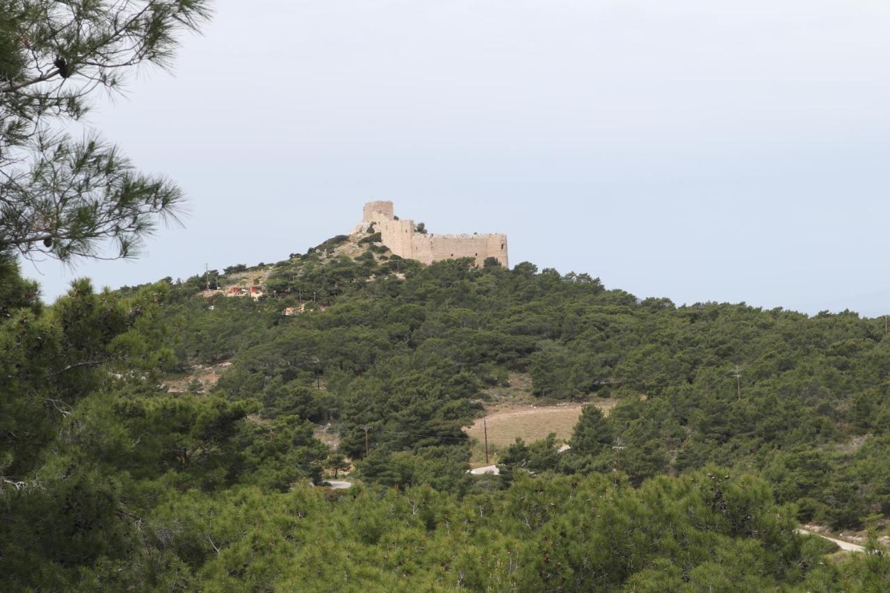 Echo Traditional House - Ηχώ Παραδοσιακό Σπίτι Émbonas エクステリア 写真
