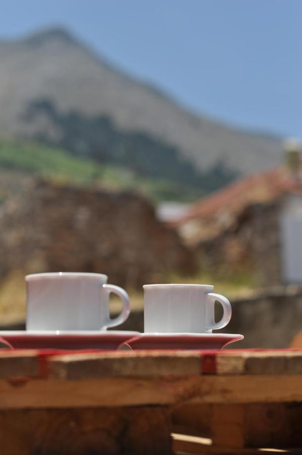 Echo Traditional House - Ηχώ Παραδοσιακό Σπίτι Émbonas エクステリア 写真