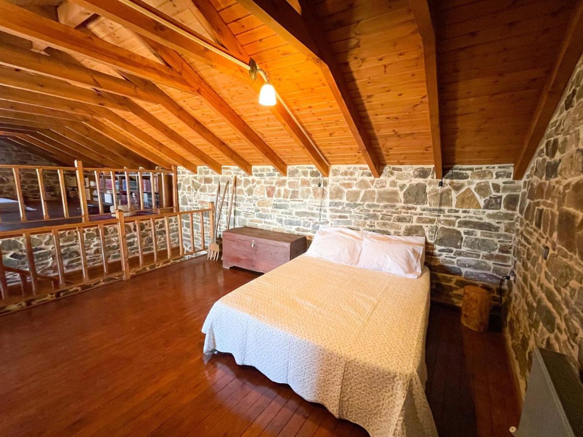 Echo Traditional House - Ηχώ Παραδοσιακό Σπίτι Émbonas エクステリア 写真