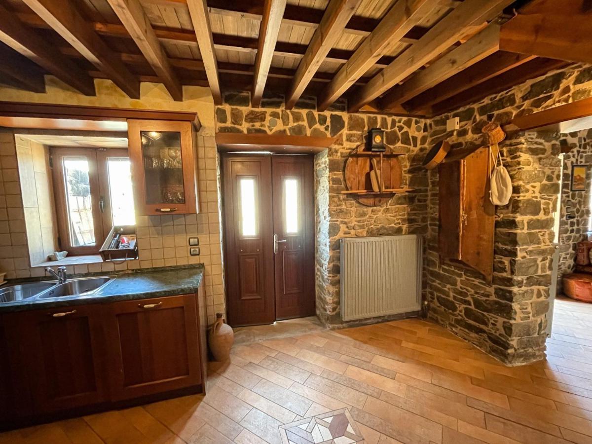 Echo Traditional House - Ηχώ Παραδοσιακό Σπίτι Émbonas エクステリア 写真